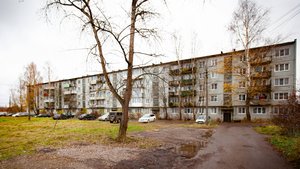 Малая Вишера Лесная 15-90