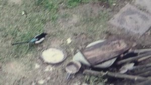 Столовая начала принимать посетителей 5    ПОДПИШИСЬ