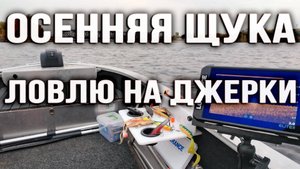 Осень Щука Джерки