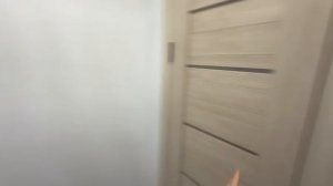 video5195366511971173259