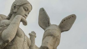 Поездка в парк Лухуэйтоу (Олень,повернувший голову)  октябрь 2025г