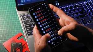 Самозапреты и грамотность: россияне стали реже попадаться на уловки мошенников