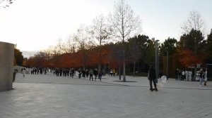 29=10=2025  КРАСНОДАР.  ПАРК  С.  ГАЛИЦКОГО . ОСЕНЬ.  (257)