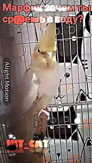 🙄 смотреть онлайн