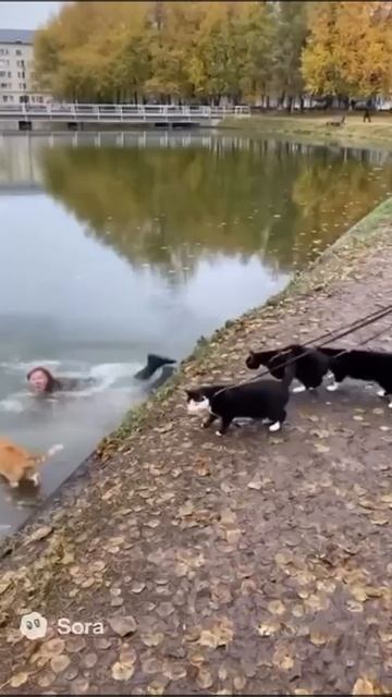 прикол ИИ смотреть онлайн