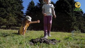 Коровий дар. Анонс. Канал В Мире Животных