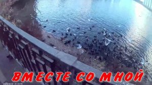 ДЕЛАЙТЕ ДОБРО