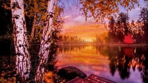 Я уснула в закате дня.