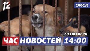 Новый закон о собаках / Награды за заслуги / Остеопороз: риски и профилактика. Новости Омска