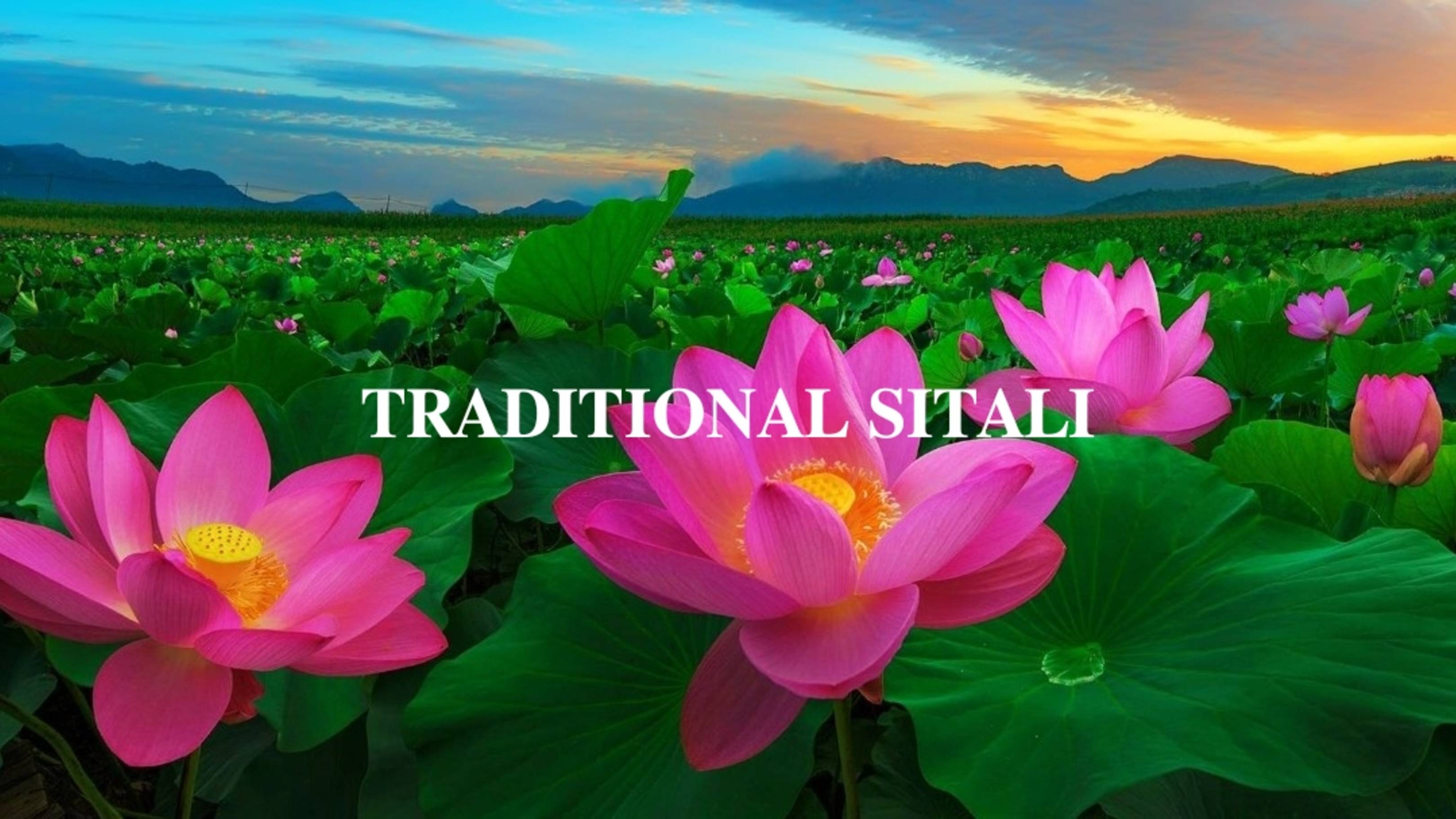 ТРАДИЦИОННОЕ СИТАЛИ (ОХЛАЖДАЮЩАЯ ПРАНАЯМА) | 𝐓𝐑𝐀𝐃𝐈𝐓𝐈𝐎𝐍𝐀𝐋 𝐒𝐈𝐓𝐀𝐋𝐈