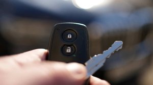 Заключенные из колонии открыли фирму по перевозке авто и угоняли машины