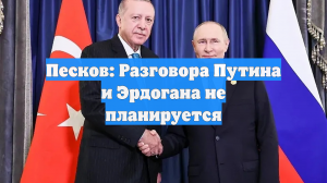 Песков: Разговора Путина и Эрдогана не планируется
