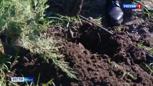 ВЕСТИ КРЫМ: выпуск 30.10.2025 21:10