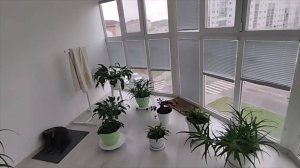 Обзор продуктов с ЛЕНТЫ/Готовлю на несколько дней/Стол продали