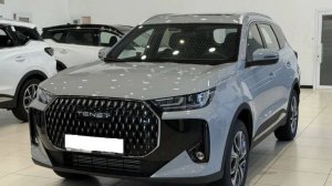 Автошторки Laitovo для TENET T7 1G