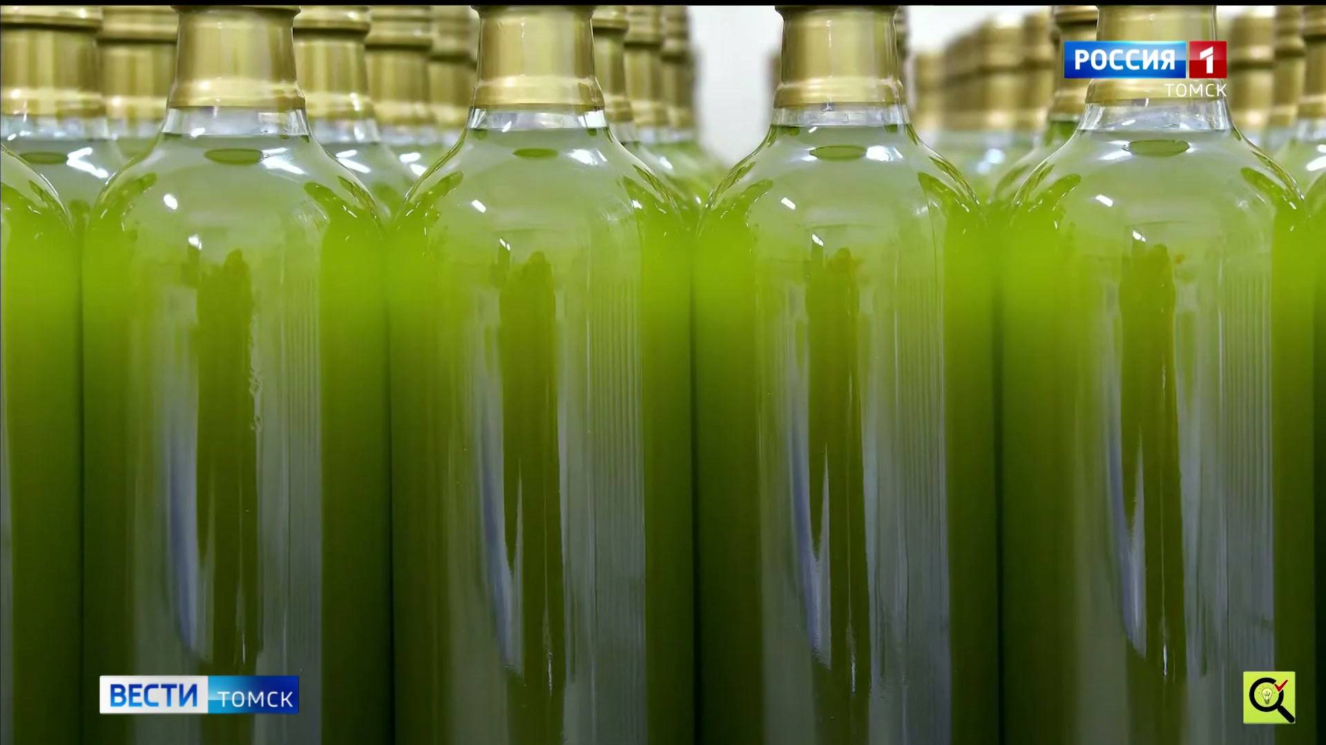 Вести-Томск, выпуск от 29.10.2025 21:10