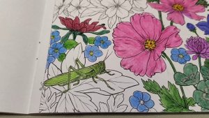 ХОББИ - ВЛОГ.РАСКРАШИВАЮ НОВУЮ КАРТИНКУ В АЛЬБОМЕ.