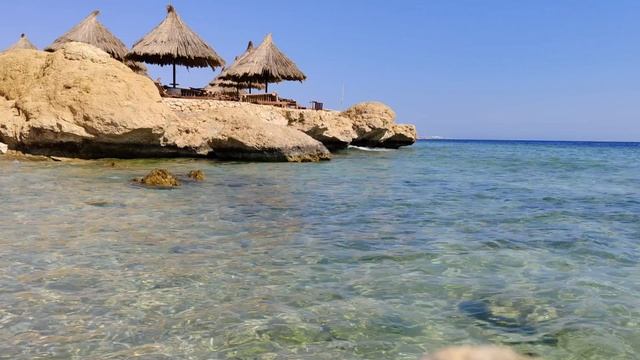 20251028_112258 Sharm