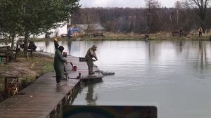 хороший клёв форели на блесны