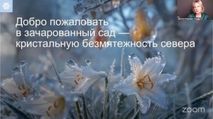 🏔️ Вдохновение из сердца северного сада - новая коллекция Nordic Garden ❄ Сибирское Здоровье #sw