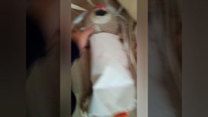 СЛЕНДЕРИНА ПРЕСЛЕДУЕТ НАС. ГРЕННИ В ЗАБРОШЕННОМ ДЕРЕВНЕ (ЧАСТЬ 3)