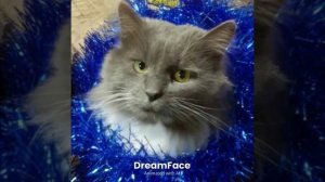 Солист нашего дома.