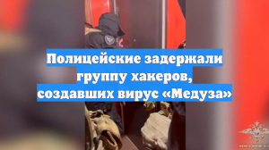 Полицейские задержали группу хакеров, создавших вирус «Медуза»