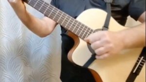 "Музыкант" К. Никольскийй, кавер Пшеничный-Сотников.