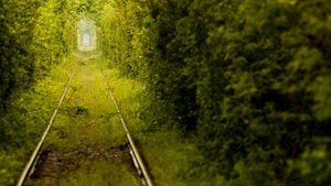 Прогноз на ноябрь, что будет в вашей жизни???