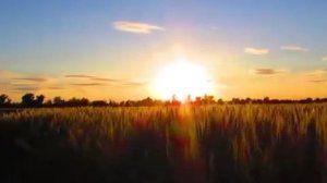 Так хочется в глуши уединиться