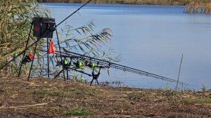 Рыбалка с очередной баранкой...