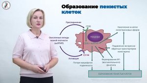 Лейхтер С.Н.   Метаболические нарушения при воспалительных заболеваниях пародонта