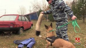 🐕 Собака – это не спецсредство. Это настоящий напарник