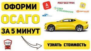 осаго страховой дтп