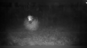 Жизненный урок