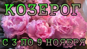 КОЗЕРОГ таро прогноз на неделю с 3 по 9 НОЯБРЯ 2025 года.