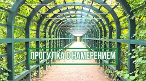 Медитация у фонтанов