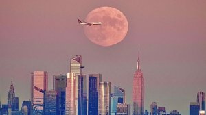 Считает себя более чем компетентен,зачем он тогда продолжает всем гадить,а значит