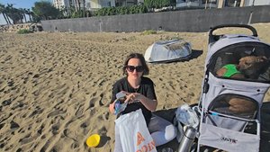 Гуляем с мальчиками на набережной, отпускаю их с поводка