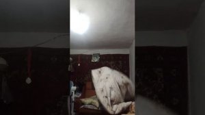 общаюсь с подписчиками