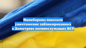 Минобороны показало уничтожение заблокированных в Димитрове военнослужащих ВСУ