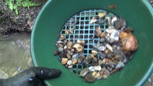 Ловушка для самородного Золота!# 2