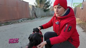 Пропала собака - что делать? И как этого избежать? Программа «Хочу собаку». Выпуск 11