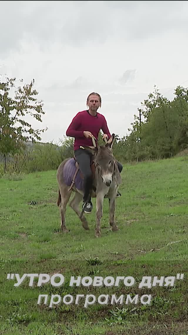 📺Помощь животным в Севастополе | АНОНС СЮЖета (16 октября 2025 г.)🎬