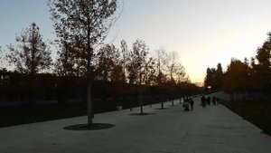 29=10=2025  КРАСНОДАР.  ПАРК  С.  ГАЛИЦКОГО . ОСЕНЬ.  (258)