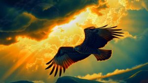 На спине у дракона