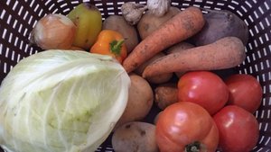 На Ставрополье подорожали продукты питания, а смартфоны подешевели