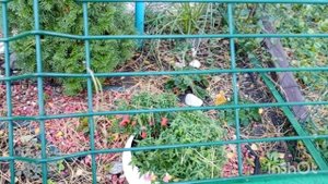 30 октября. Прогулка в Славянском районе. гКраснодар.