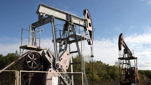 Аналитик усомнился в возможности замещения российской нефти в Индии