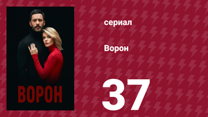 Ворон 37 серия (сериал, 2019)